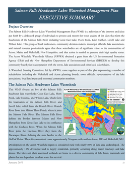 Salmon Falls Headwater Lakes Watershed Management Plan
