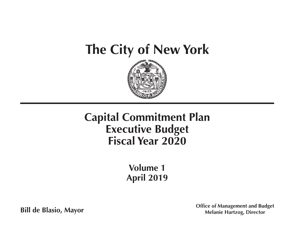 FY 2020 Executive Budget Commitment Plan