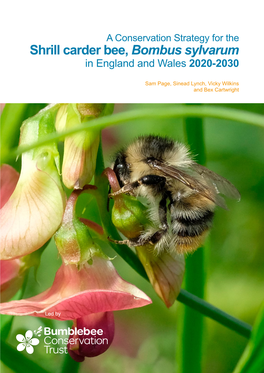 Shrill Carder Bee, Bombus Sylvarum in England and Wales 2020-2030