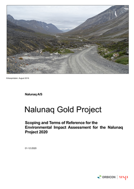 Nalunaq Gold Project
