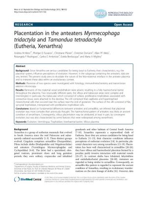 Placentation in the Anteaters Myrmecophaga