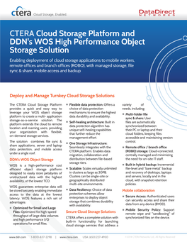 Ctera Ddn Solution Sheet 301213 34