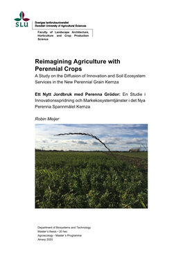 Reimagining Agriculture with Perennial Crops a Study on the Diffusion of Innovation and Soil Ecosystem Services in the New Perennial Grain Kernza