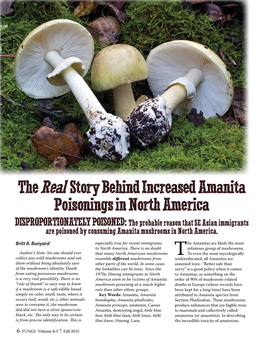 The Real Story Behind Increased Amanita Poisonings in North America