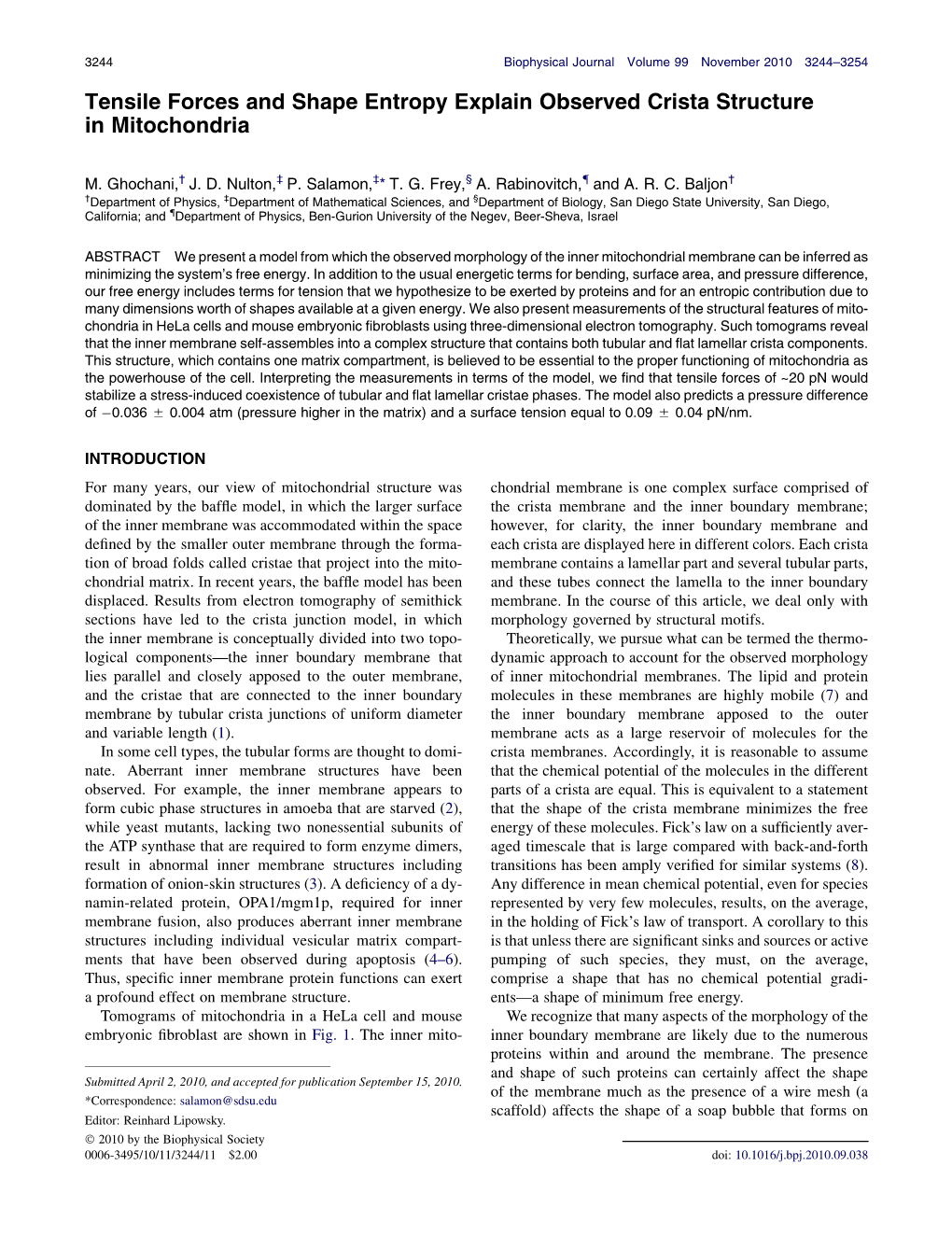 Tensile Forces and Shape Entropy Explain Observed Crista Structure in Mitochondria