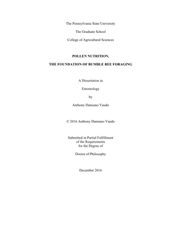 Open ADV Disseration for Submission.Pdf