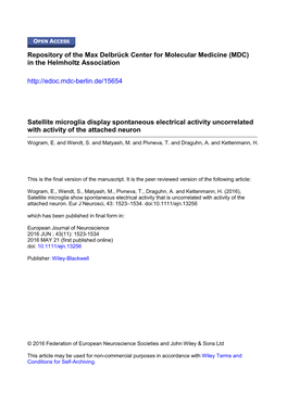 Satellite Microglia Display Spontaneous Electrical Activity Uncorrelated with Activity of the Attached Neuron