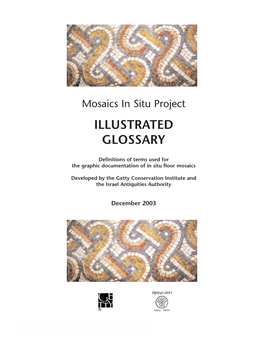 Illustrated Glossary: Mosaics in Situ Project