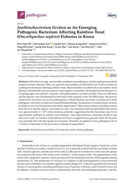 Janthinobacterium Lividum As an Emerging Pathogenic Bacterium Affecting Rainbow Trout