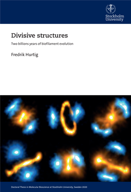 Divisive Structures