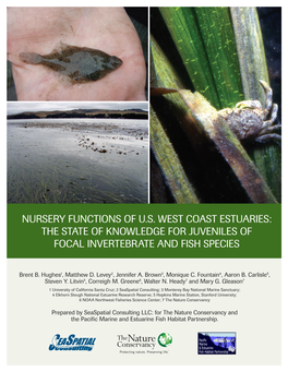Nursery Functions of Us West Coast Estuaries: the State of Knowledge For