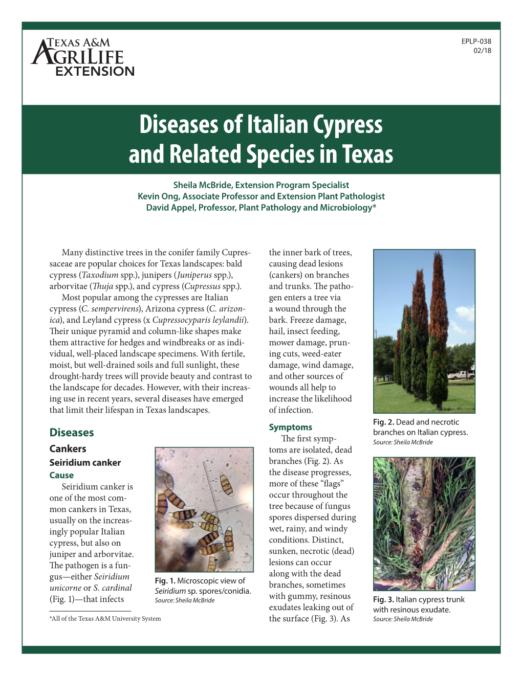 Diseases of Italian Cypress and Related Species in Texas