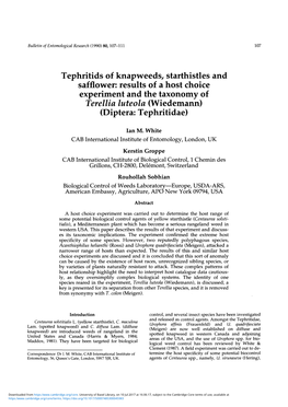 Tephritids of Knapweeds, Starthistles and Safflower: Results of a Host Choice Experiment and the Taxonomy of Terellia Luteola (Wiedemann) (Diptera: Tephritidae)