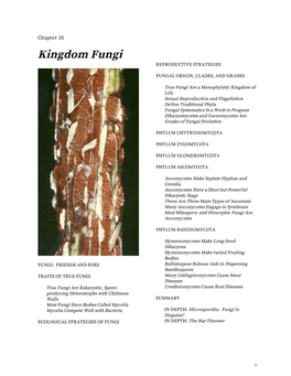 Chapter 20: Kingdom Fungi