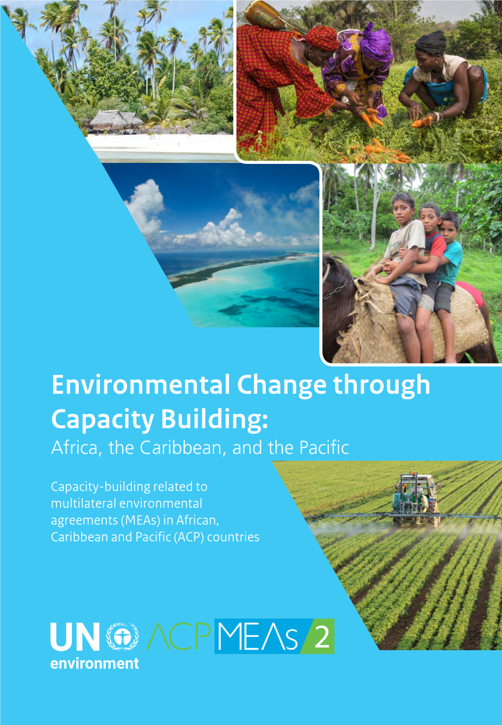 Environmental Change Through Capacity Building