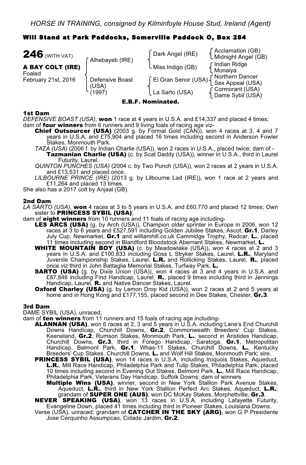 HORSE in TRAINING, Consigned by Kilminfoyle House Stud, Ireland (Agent)