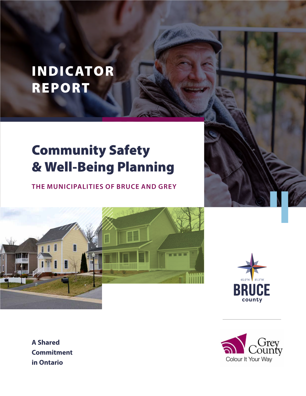 Indicator Report