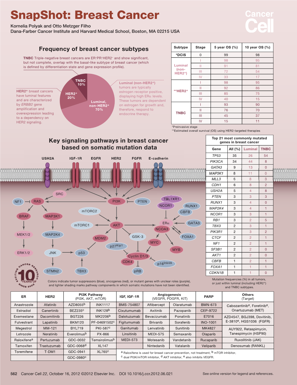 Snapshot: Breast Cancer Kornelia Polyak and Otto Metzger Filho Dana-Farber Cancer Institute and Harvard Medical School, Boston, MA 02215 USA