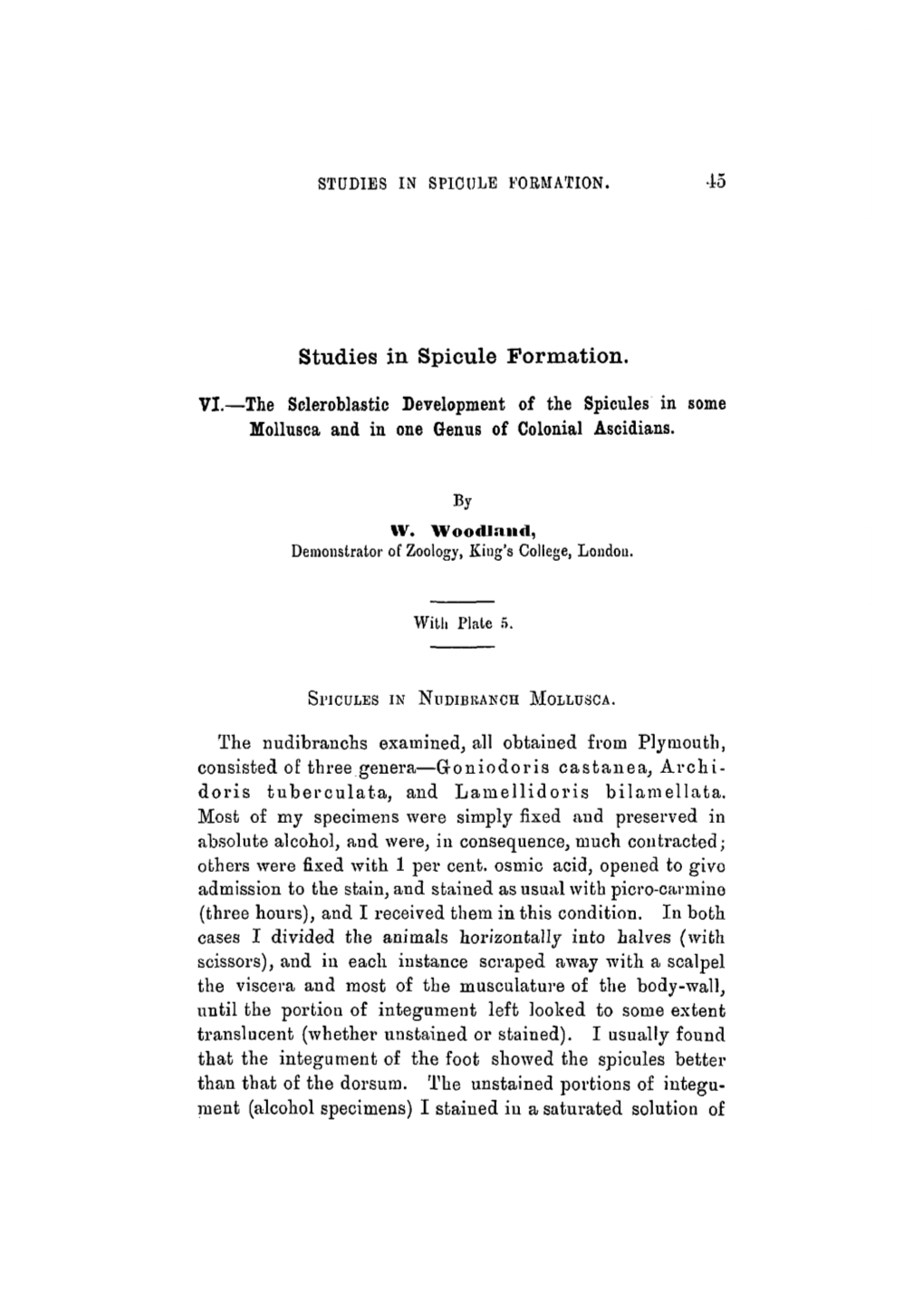 Studies in Spicule Formation. VI.—The Scleroblastic Development Of