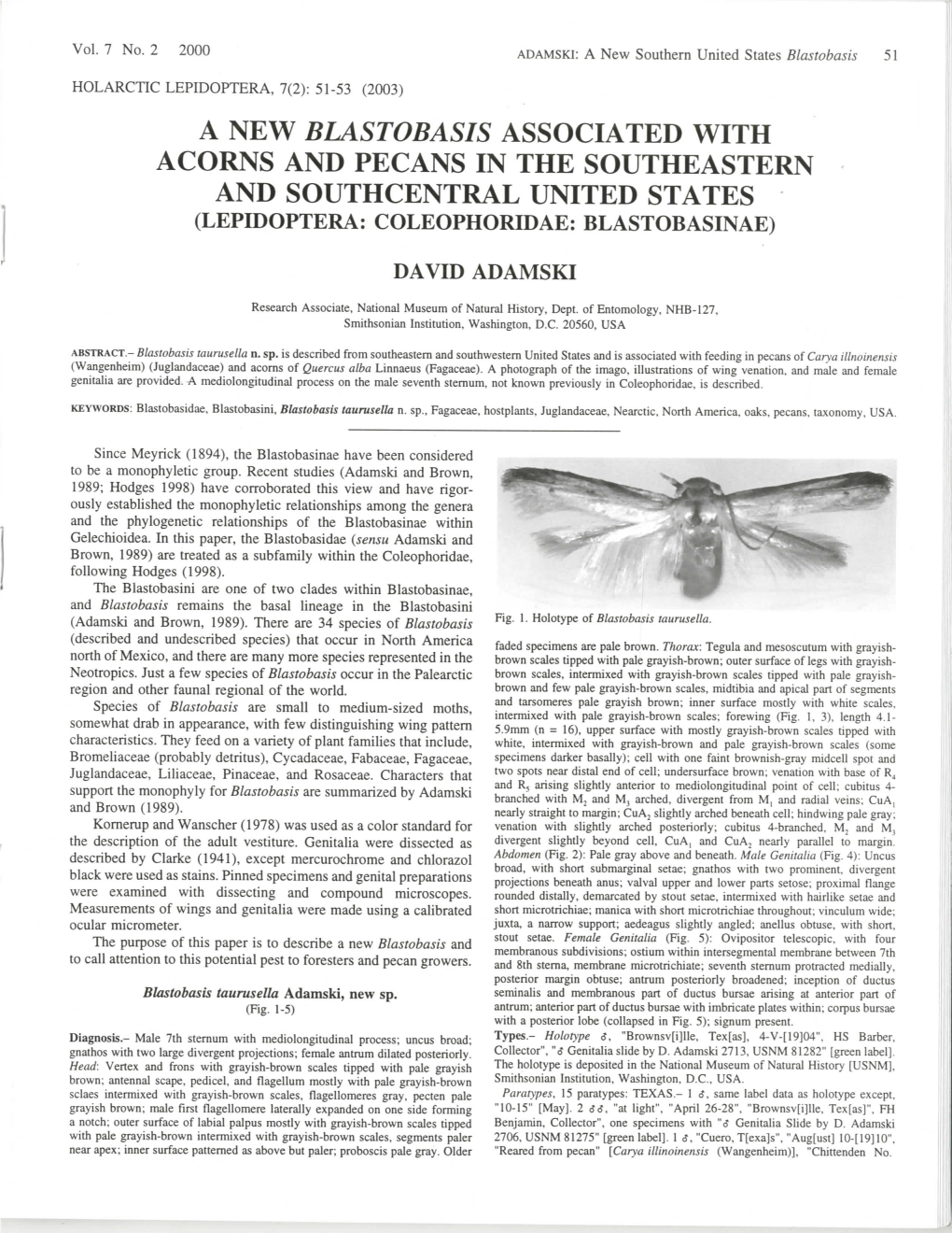 A New Blastobasis Associated with Acorns and Pecans in the Southeastern and Southcentral United States (Lepidoptera: Coleophoridae: Blastobasinae)