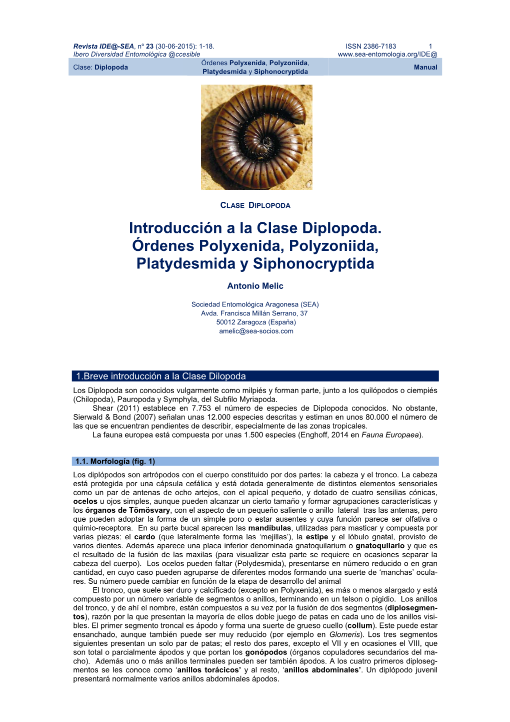 Introducción a La Clase Diplopoda. Órdenes Polyxenida, Polyzoniida, Platydesmida Y Siphonocryptida