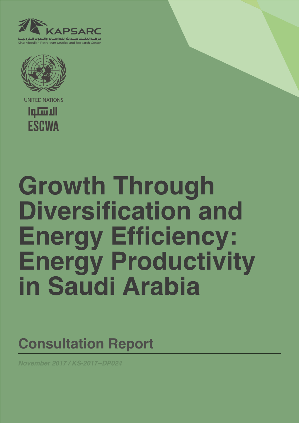 Growth Through Diversification and Energy Efficiency: Energy Productivity in Saudi Arabia