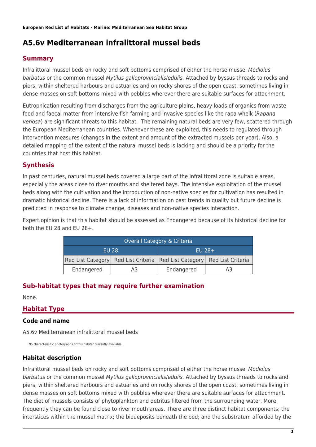 A5.6V Mediterranean Infralittoral Mussel Beds