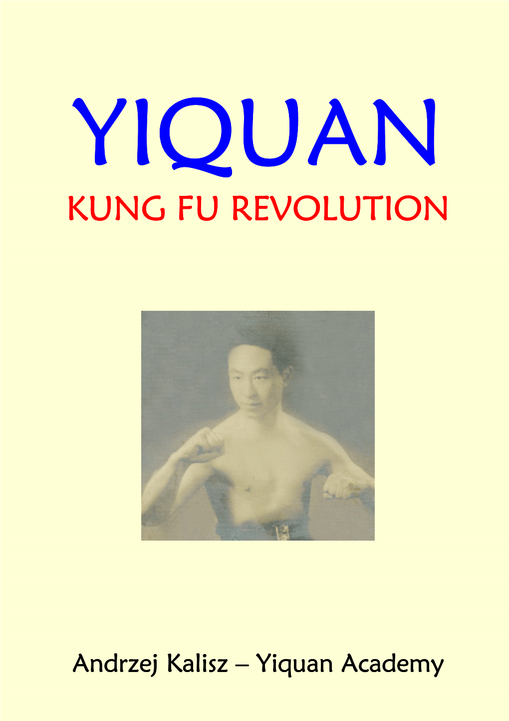 Yiquan. Kung Fu Revolution