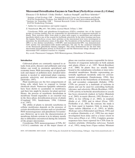 Microsomal Detoxification Enzymes in Yam Bean [Pachyrhizus Erosus (L.) Urban] Ebenezer J
