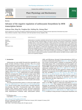 Advance of the Negative Regulation of Anthocyanin Biosynthesis by MYB Transcription Factors T