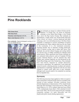 Pine Rocklands Are Unique to Southern Florida And