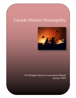 Fire Brigade Services Assessment Report January 2009