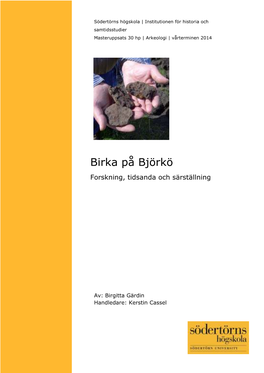 Birka På Björkö