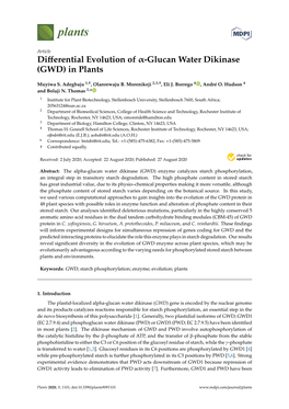 Differential Evolution of Α-Glucan Water Dikinase (GWD)