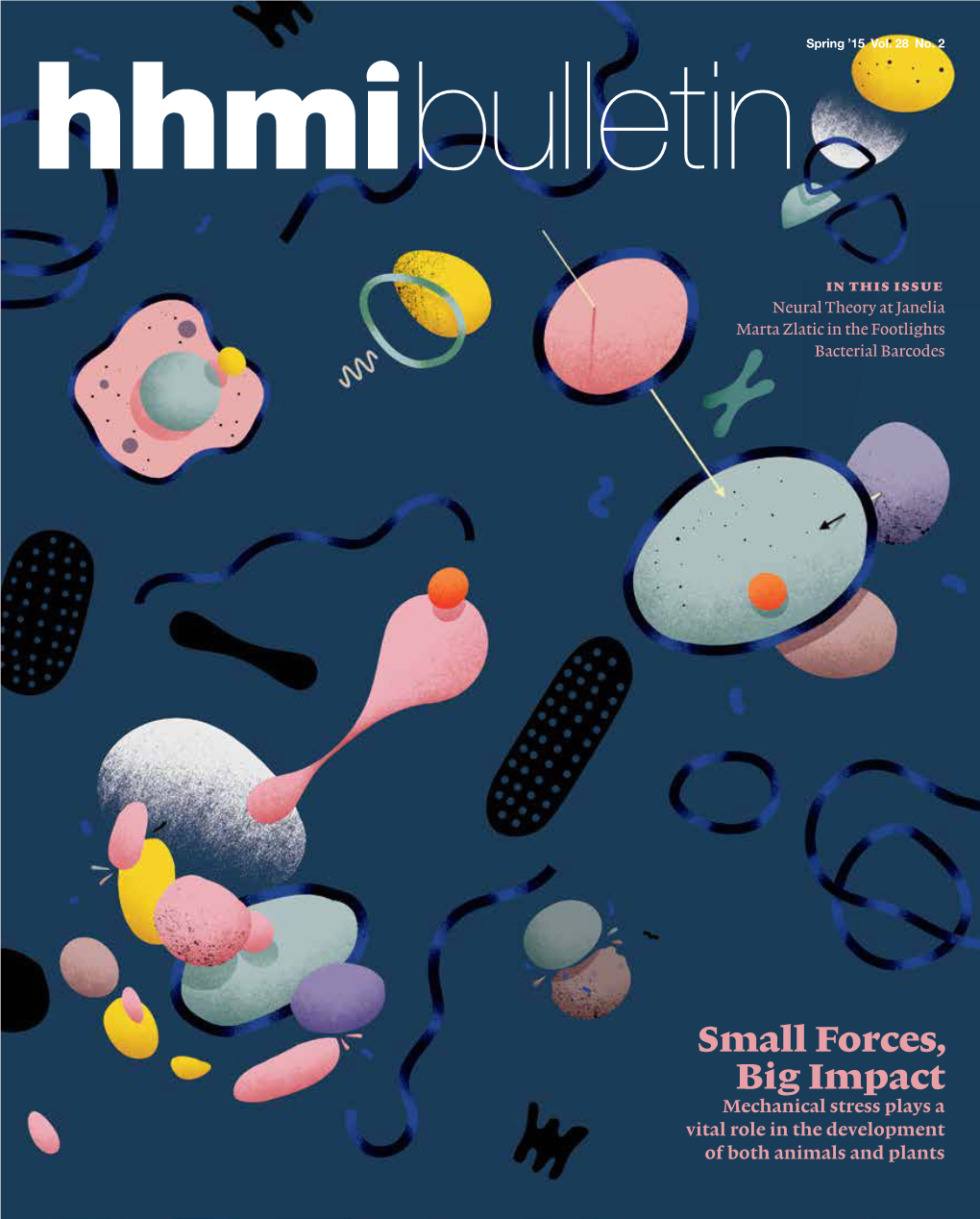 Hhmi-Bulletin-Spring-2015 4.Pdf