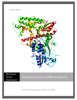 Taq DNA Polymerase Paper Wo Experiments1