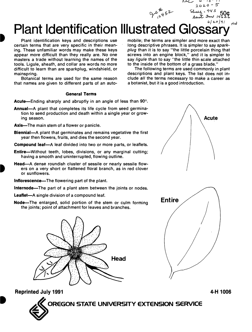 Plant Identification Illustrated Glossary