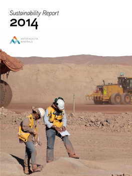 Sustainability Report 2014 About This Report