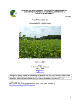 Pest Risk Analysis for Ambrosia Trifida L. (Asteraceae)