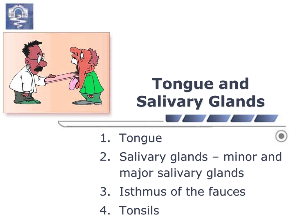 Tongue and Salivary Glands