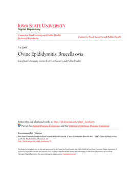 Ovine Epididymitis: Brucella Ovis Iowa State University Center for Food Security and Public Health
