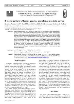 A World Review of Fungi, Yeasts, and Slime Molds in Caves Karen J