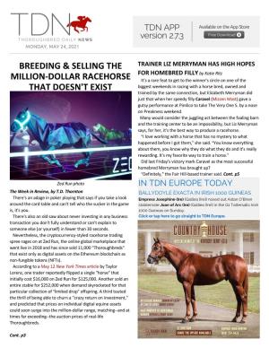 Tdn America Today the Week in Review: Zed Run Spending Spree Goes on T