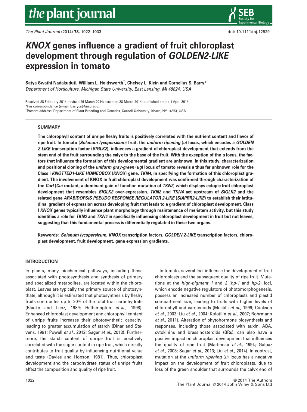 KNOX Genes Influence a Gradient of Fruit Chloroplast Development