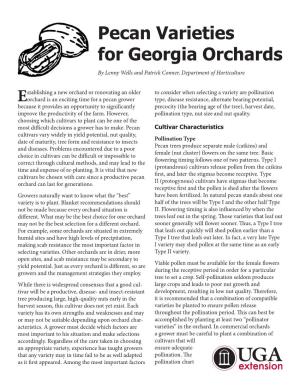Pecan Varieties for Georgia Orchards