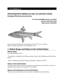 Henicorhynchus Lobatus Ecological Risk Screening Summary