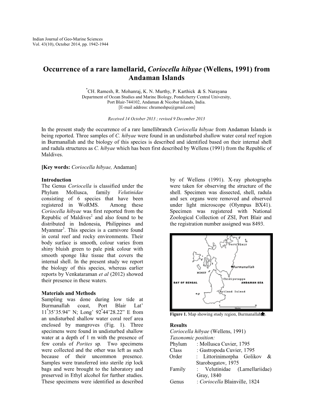 Occurrence of a Rare Lamellarid, Coriocella Hibyae (Wellens, 1991) from Andaman Islands