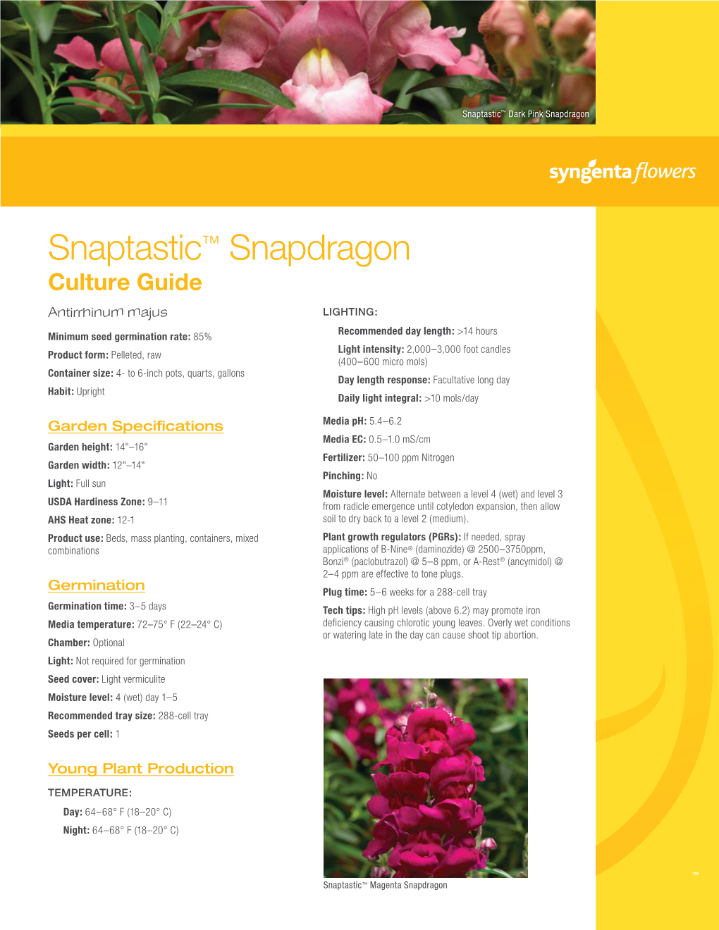 Snapdragon Snaptastic Culture Guide.Indd