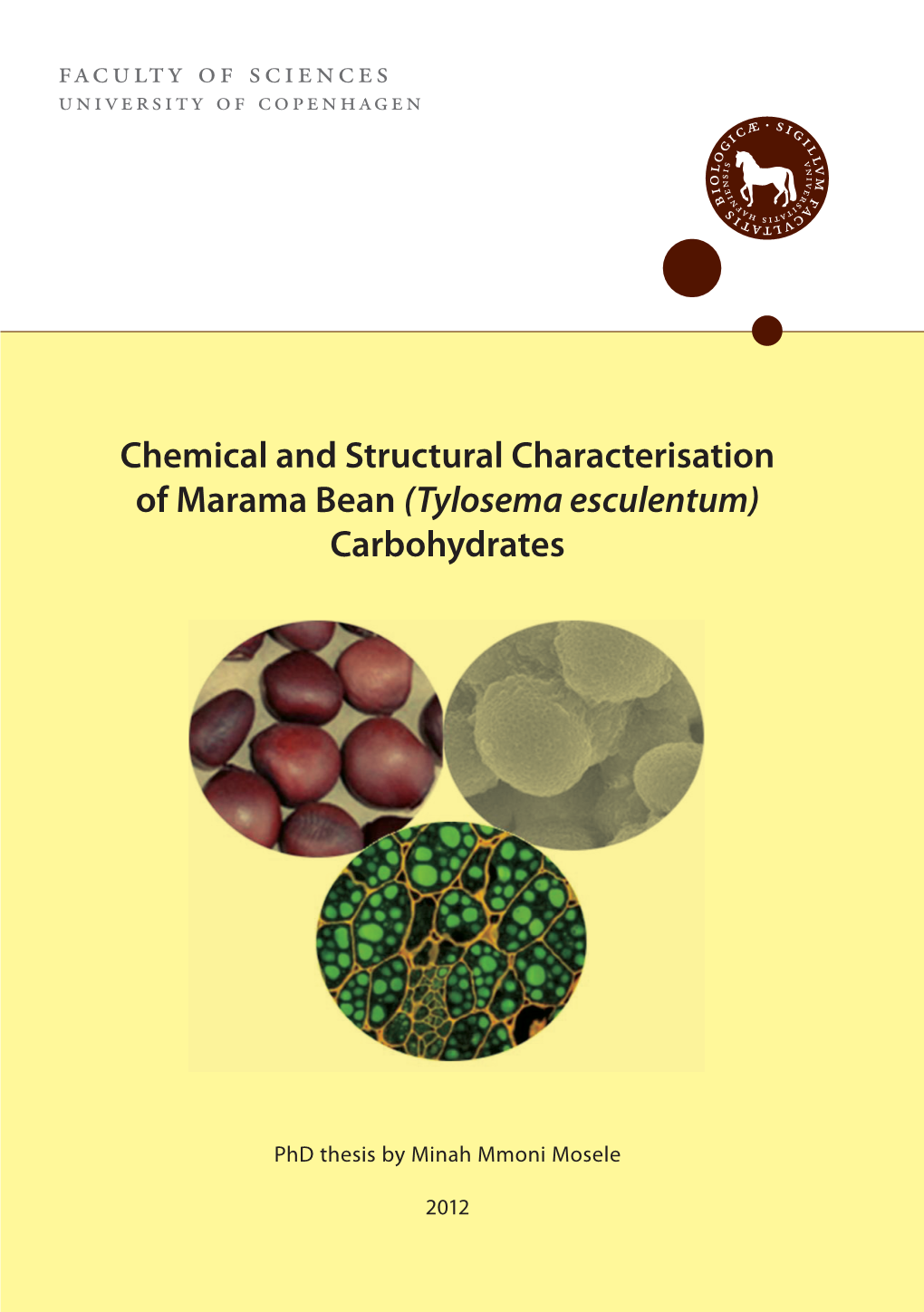 Chemical and Structural Characterisation of Marama Bean (Tylosema Esculentum) Carbohydrates