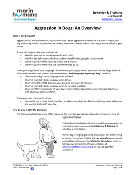 Aggression in Dogs an Overview